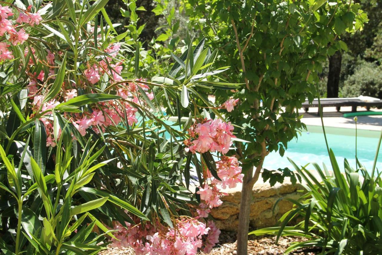 Bed and Breakfast L'Atelier Saint-Maximin  Екстер'єр фото