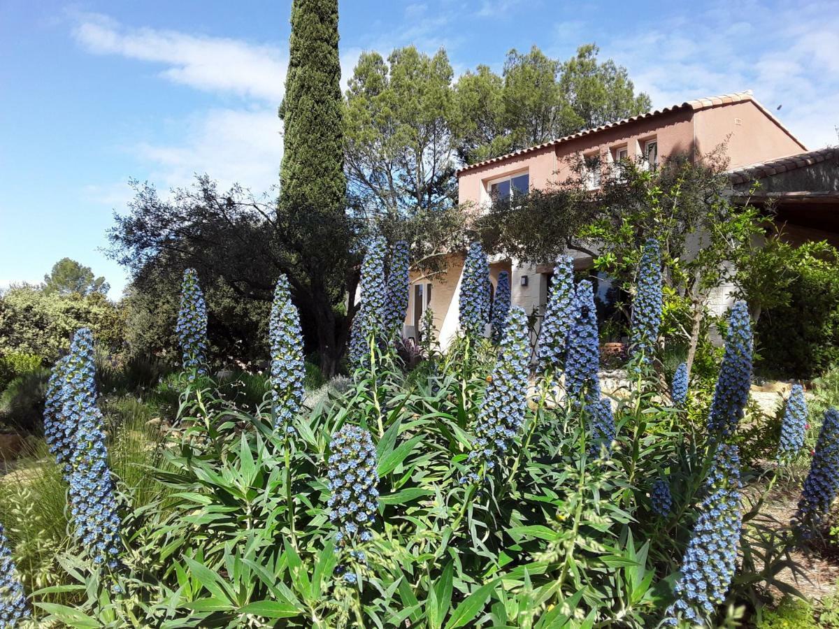 Bed and Breakfast L'Atelier Saint-Maximin  Екстер'єр фото